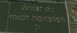Moderne Technik für eine romantische Geste: Ein Freund programmierte die Sämaschine für den Antrag auf dem Feld.