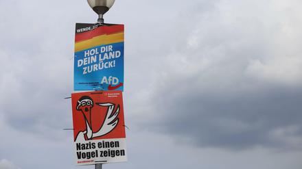Wahlplakat der AfD (mit der Aufschrift Hol Dir Dein Land Zurück) und ein Plakat der Kampagne Storch Heinar (mit der Aufschrift Nazis einen Vogel zeigen) für die Landtagswahl in Brandenburg. 