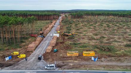 Tesla-Standort in Grünheide in Brandenburg: Das teilweise gerodete Waldgebiet.