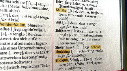 Geschafft! Seit 2013 findet der „Shitstorm“ auch im Duden statt.