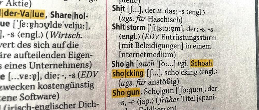 Geschafft! Seit 2013 findet der „Shitstorm“ auch im Duden statt.
