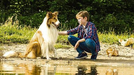 Fulminant mit Fell. Das Collie-Casting bereitete Schwierigkeiten. Foto: Warner Bros.