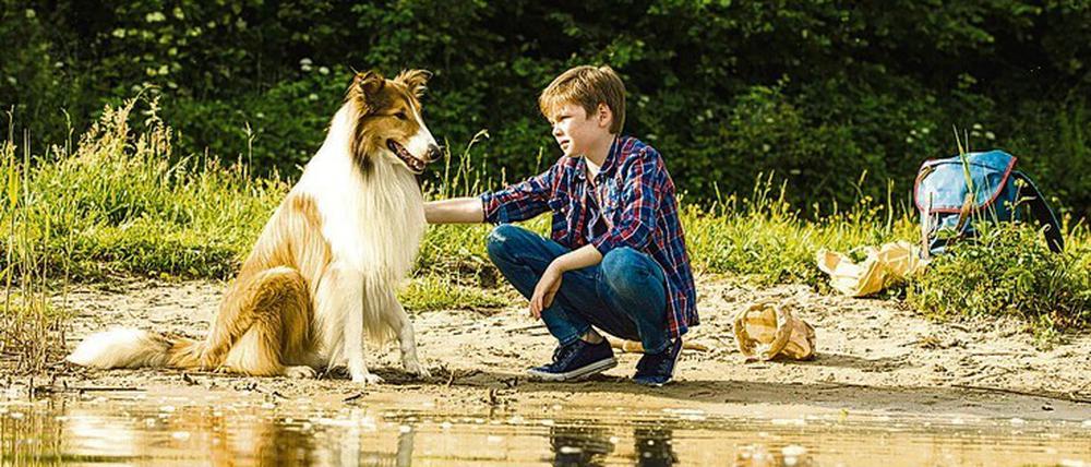 Fulminant mit Fell. Das Collie-Casting bereitete Schwierigkeiten. Foto: Warner Bros.