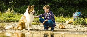 Fulminant mit Fell. Das Collie-Casting bereitete Schwierigkeiten. Foto: Warner Bros.
