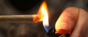 12 Kilo Marihuana wurden in der Wohnung des Tatverdächtigen gefunden. 