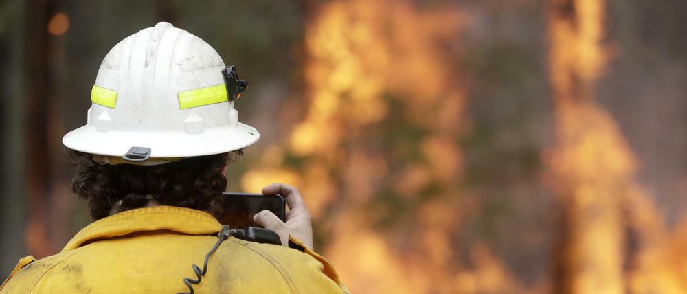 Die Untersuchungskommission ihre Ergebnisse bis Ende August vorlegen, damit die Empfehlungen vor Beginn der nächsten Buschbrandsaison in Australien umgesetzt werden können.