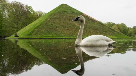 Auf ewig vereint. Pückler ließ 1856 im Schlosspark Branitz eine Seepyramide, genannt Tumulus, anlegen - hier wollte er bestattet werden. Auch seine - offiziell von ihm geschiedene - Frau Lucie von Pückler-Muskau fand darin ihre letzte Ruhestätte.  