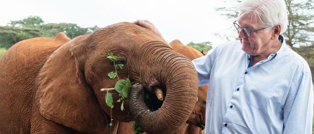 Bundespräsident Frank-Walter Steinmeier mit Maktao.