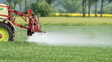Eine Frage der Dosis: Dünger ist Nahrung für die Pflanzen, zu viel davon belastet das Grundwasser. 