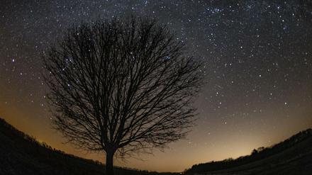 Blick auf einen kleinen Teil der Milchstraße am nächtlichen Sternenhimmel im Landkreis Märkisch-Oderland.