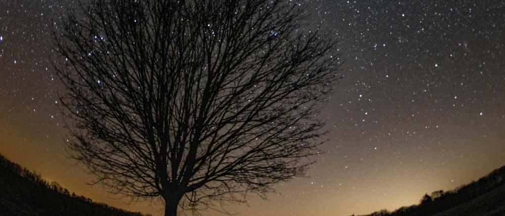 Blick auf einen kleinen Teil der Milchstraße am nächtlichen Sternenhimmel im Landkreis Märkisch-Oderland.