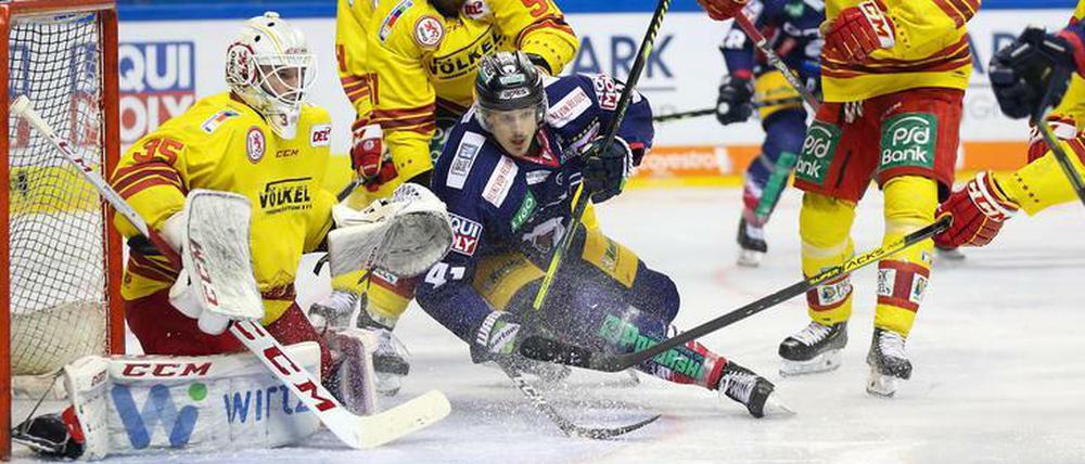 Der eine kommt, der andere geht. Mathias Niederberger (links) wird neue Nummer eins der Eisbären, Louis-Marc Aubry verlässt den Verein.
