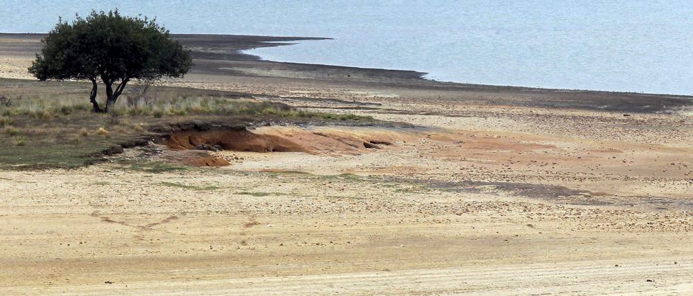 Dürre ist rund um das Mittelmeer schon heute oft ein Problem, wie hier am Fluss Ebro in Spanien im Jahr 2012.
