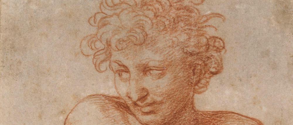 Rötelzeichnung von Raffael. Rötel über schwarzem Stift, weiß gehöht, gegriffelt.
