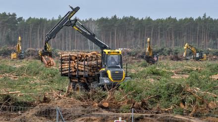 E-Autos oder Wald: Umweltverbände vor der Zerreißprobe.