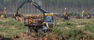 E-Autos oder Wald: Umweltverbände vor der Zerreißprobe.