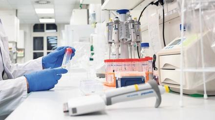 Ein Virologe prüft im Institut für Virologie Coronavirus-Proben. 