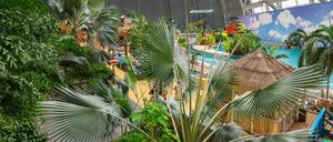 Das Erlebnisbad Tropical Islands in Dahme-Spreewald.