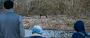 Migranten stehen am Fluss Mariza auf türkischer Seite, während ihnen auf der griechischen Seite Soldaten gegenüber stehen.