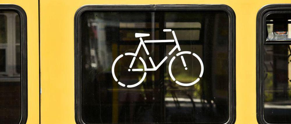 Mit dem Fahrrad im Norden Berlins unterwegs: Was sollte sich für Pendler zur S-Bahn verbessern?
