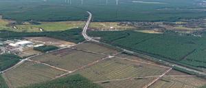 Blick auf das Gelände für die Tesla-Fabrik in Grünheide.