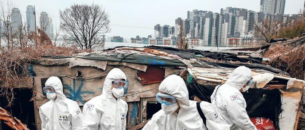 Südkoreanische Soldaten in Schutzanzügen desinfizieren in einem Vorort von Seoul. 