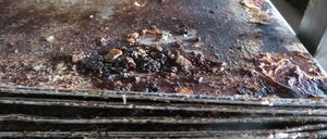 Solche Zustände fanden die Beamten in dem Betrieb vor.