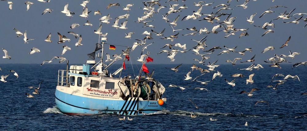 Ein Fischkutter ist auf der Ostsee vor Warnemünde unterwegs.