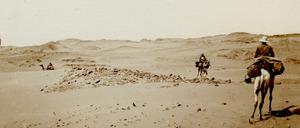 Unterwegs mit Kamelen im Gebiet des 2. Katarakts.