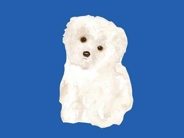 Die letzte Schneekugel von Marylin Monroe: Maf.