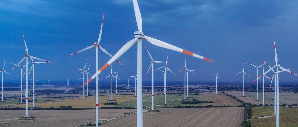 Wie hier in Sieversdorf im Landkreis Oder-Spree stehen Windräder oft dicht an dicht.