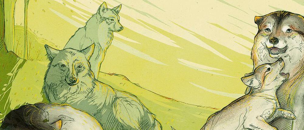 Gemeinsam sind sie stärker. Weil sie im Rudel jagen, besitzen Wölfe einen ausgeprägten Familiensinn. 