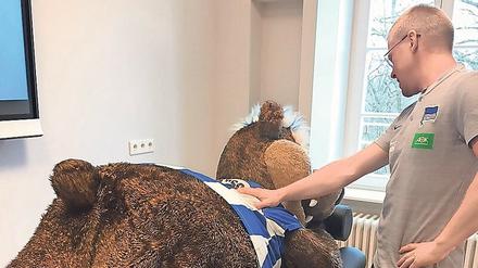 Massage fürs Maskottchen. Herthinho ist der erste Patient im HerthaMED. 