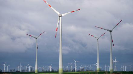 Windräder in Brandenburg.