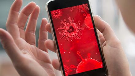 Auf einem Handybildschirm ist ein Virus abgebildet