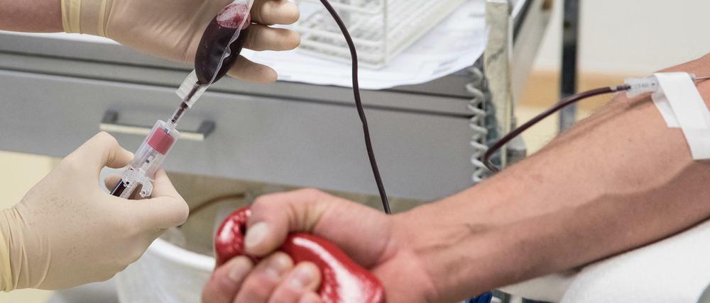 Dringend benötigt: Blutspenden. Nach wissenschaftlicher Überprüfung sollen nun auch Beschränkungen für Homosexuelle gelockert werden.