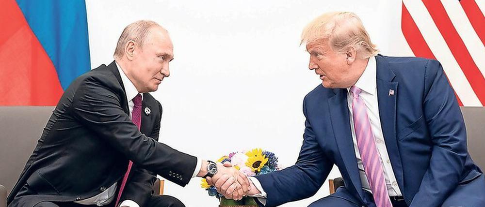 Best Friends? Der russische Präsident Wladimir Putin (links) und US-Präsident Donald Trump. 
