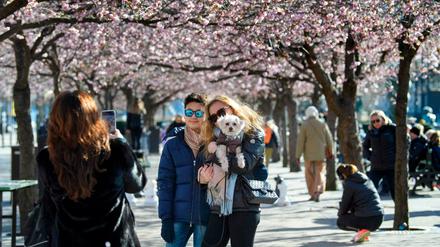 Voller Park trotz Coronavirus-Pandemie: Spaziergänger in Stockholm 