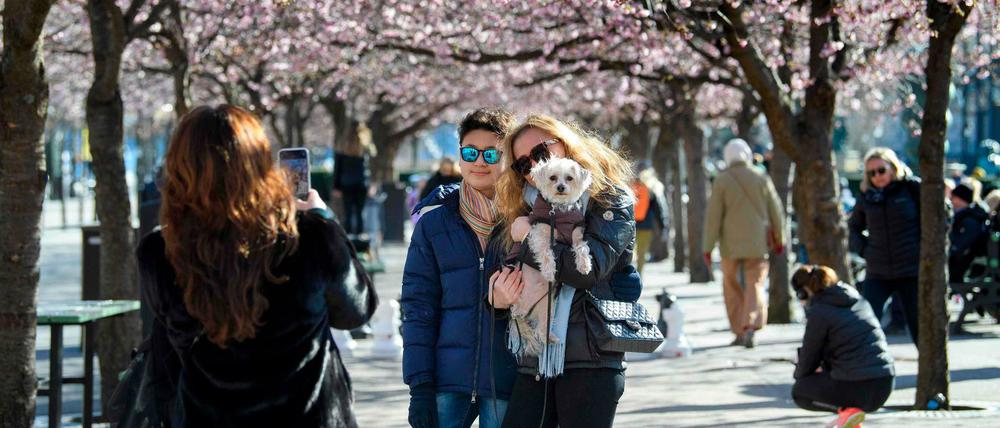 Voller Park trotz Coronavirus-Pandemie: Spaziergänger in Stockholm
