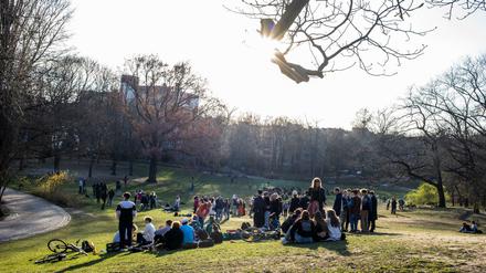 Jugendliche sitzen in einem Park bei Sonnenschein in größeren Gruppen eng zusammen.