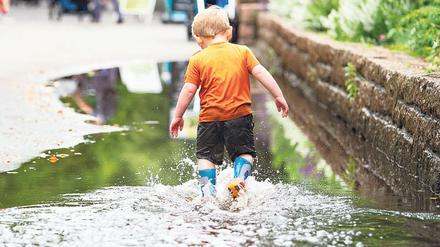 Regen kann so schön sein. Doch spätestens seit dem Sommer 2018 wissen wir, dass er nicht mehr selbstverständlich fällt. 