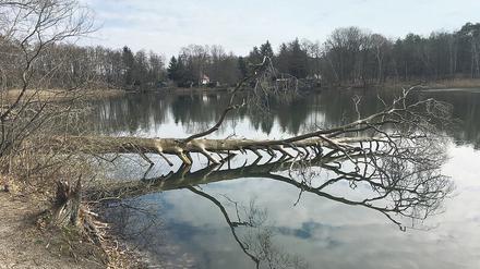 Ein idyllisches Gewässer wie der Kleine Lienewitzsee zwischen Michendorf und Ferch ist Balsam für die vom Virenstress strapazierten Nerven. 
