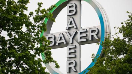Das Bayer-Kreuz, Logo des Unternehmens