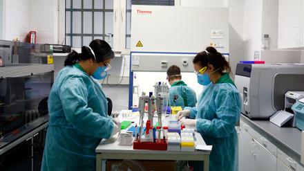 Viel Hoffnung setzen Experten auf großflächig eingesetzte Tests, die nach einer Erkrankung Immunität zuverlässig nachweisen können sollen.