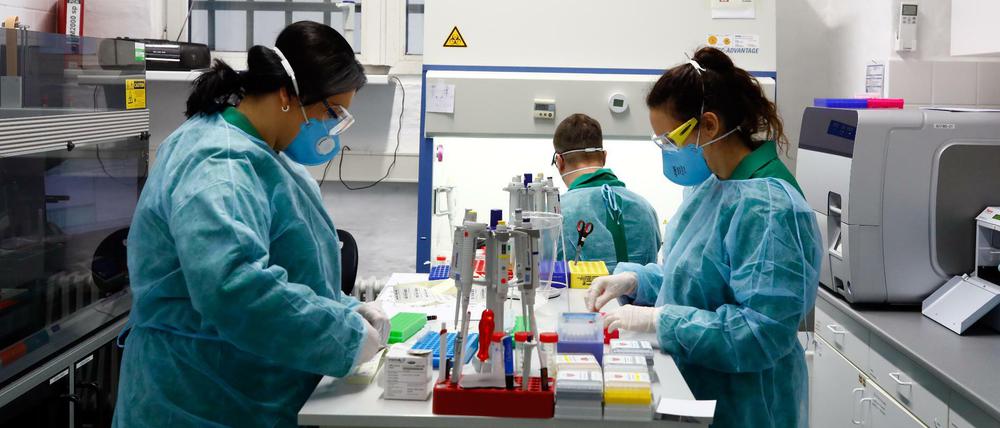 Viel Hoffnung setzen Experten auf großflächig eingesetzte Tests, die nach einer Erkrankung Immunität zuverlässig nachweisen können sollen.