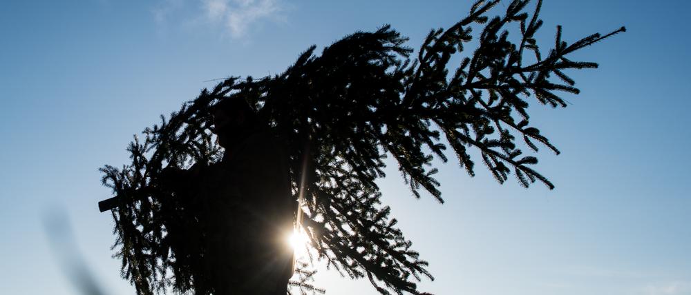 Vor allem in Familien mit Kindern gehört ein Baum zum Fest dazu.