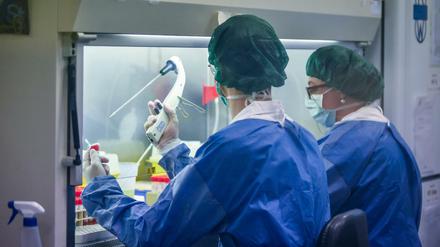 Weltweit, wie hier in der Virologie des San Matteo Krankenhauses in Rom, erforschen Wissenschaftler das neue Coronavirus - und tauschen ihr Wissen über alle Grenzen hinweg aus.