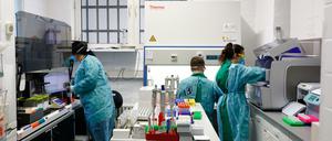 In einem Berliner Labor werden Corona-Tests ausgewertet.