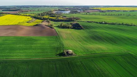 Landwirte in Not: Vielerorts steht derzeit die Ernte bevor. Doch die Saisonkräfte fehlen.