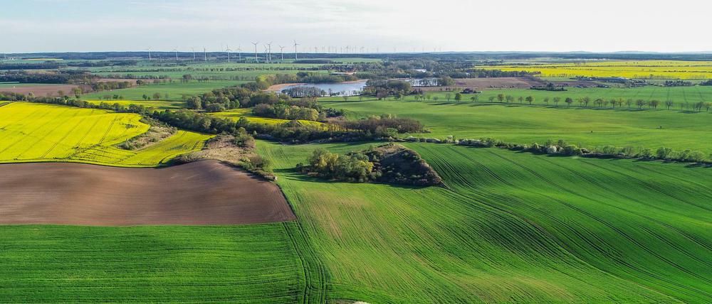 Landwirte in Not: Vielerorts steht derzeit die Ernte bevor. Doch die Saisonkräfte fehlen.